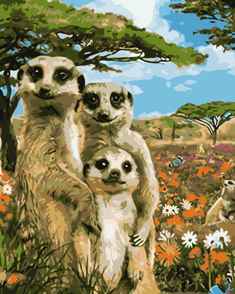 

Meerkat family – Paint By Numbers - 40*50CM, 501 Original