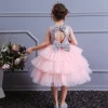 Girl Ceremonies Dress Wedding Party Birthday Gown Vestidos Tutu Dress - honeylives