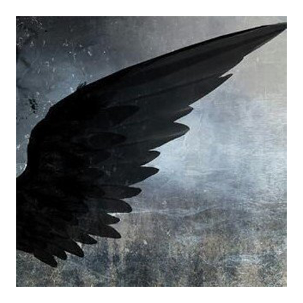 

Black Wing - Round Drill Diamond Painting - 40*40CM, 501 Original