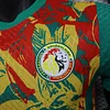 2025/2026 Player Version Senegal National Team Pre-match outfit Football Shirt 1:1 Thai Quality love fball