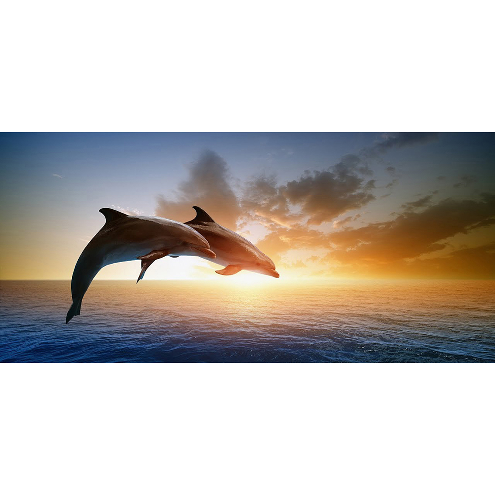 

Dolphin - Round/Square Drill Diamond Painting - 80*40CM (Big Size), Square diamond, 501 Original