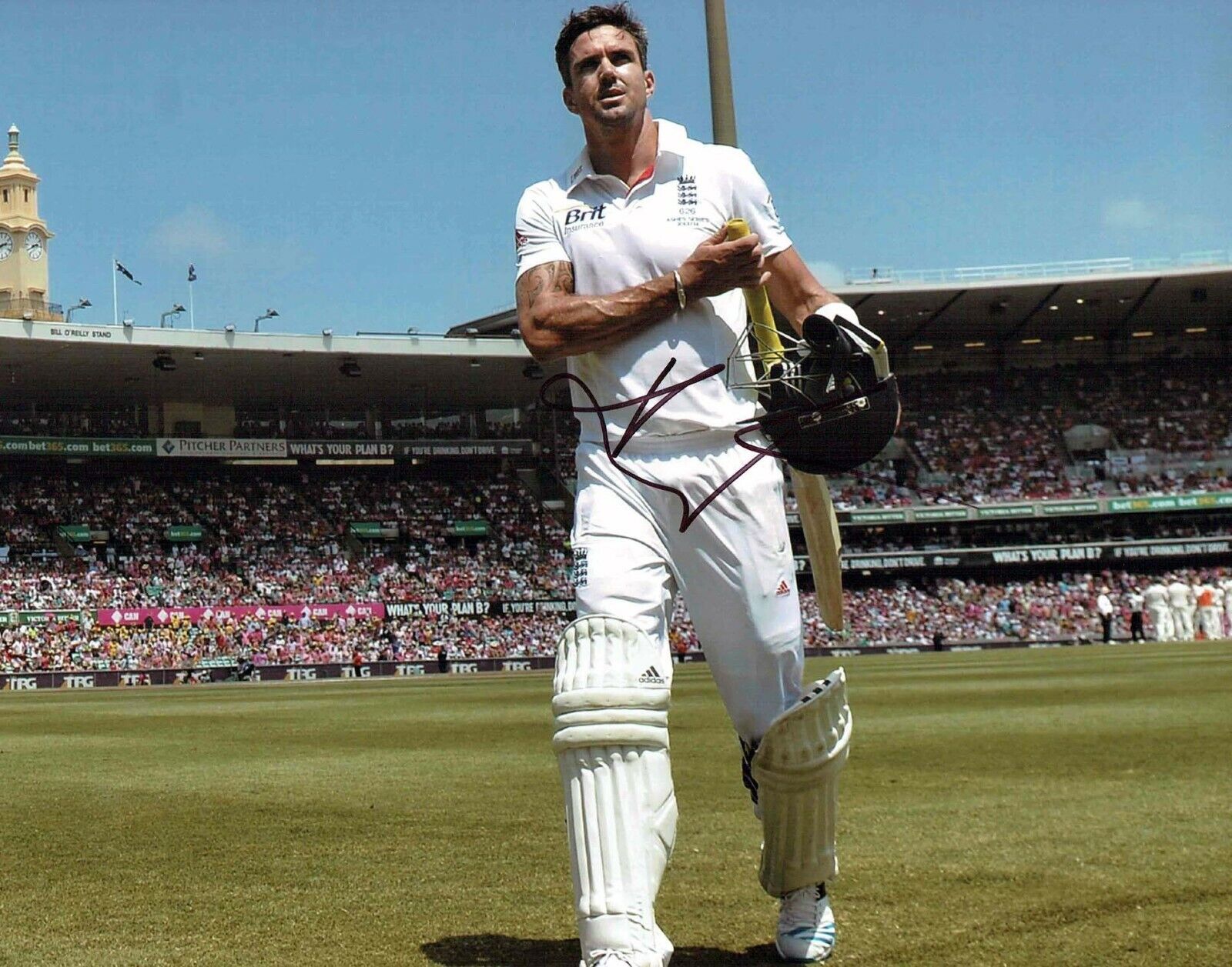 Kevin PIETERSEN Signed Autograph 14x11 Photo Poster painting 2 AFTAL COA England CRICKET Ashes