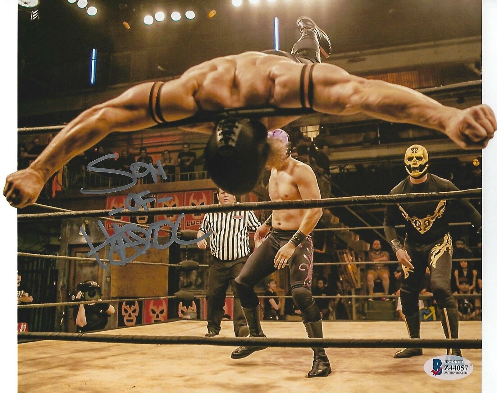 Son of Havoc Signed 8x10 Photo Poster painting BAS COA Lucha Underground AAA Picture Autograph 4