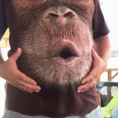 ✨Father's Day Promotion✨ Funny Monkey T-Shirt