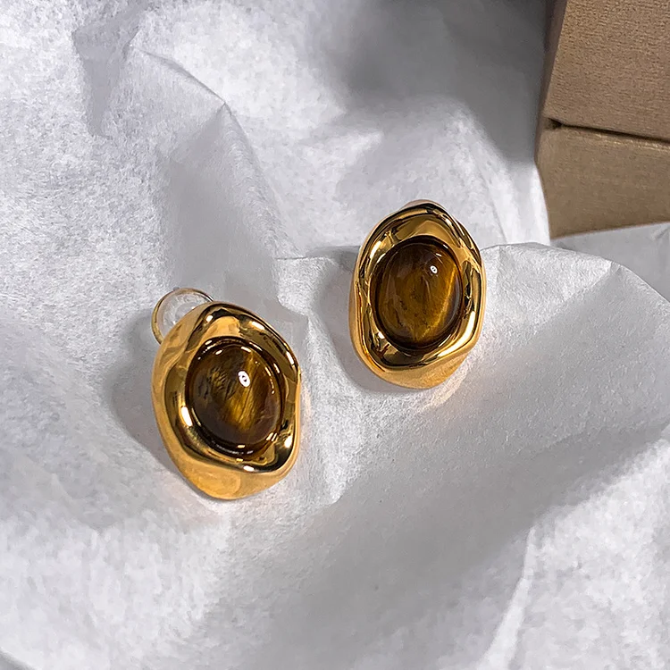 Oval Tiger Eye Stone Earrings