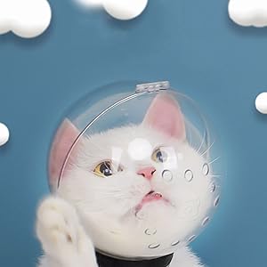 Adjustable Kitten Astronaut Helmet Prevent from Cats Biting