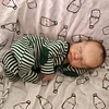 Babiesprincess Lifelike Reborn Baby Doll, Babiesprincess