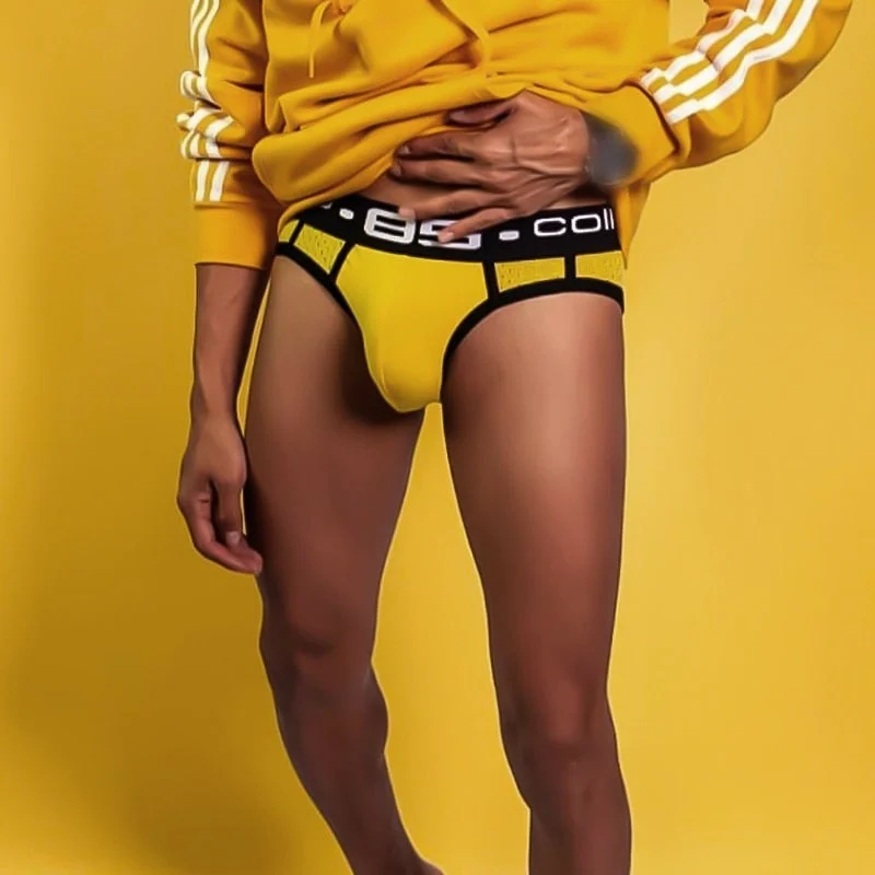 Aonga 0850 Brand Comfortable Men Underwear Briefs U Convex Cuecas Breathable Mesh Man Underpants Cotton Low Waist  Men's Panties