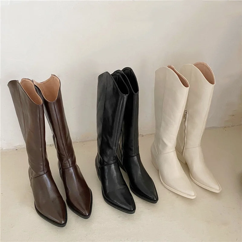 Women's High Heels Wedges Boots Lady Riding Cowboy Long Boots 2021 Spring Winter Designers Pointed Toe Knee Fashion Female Boot