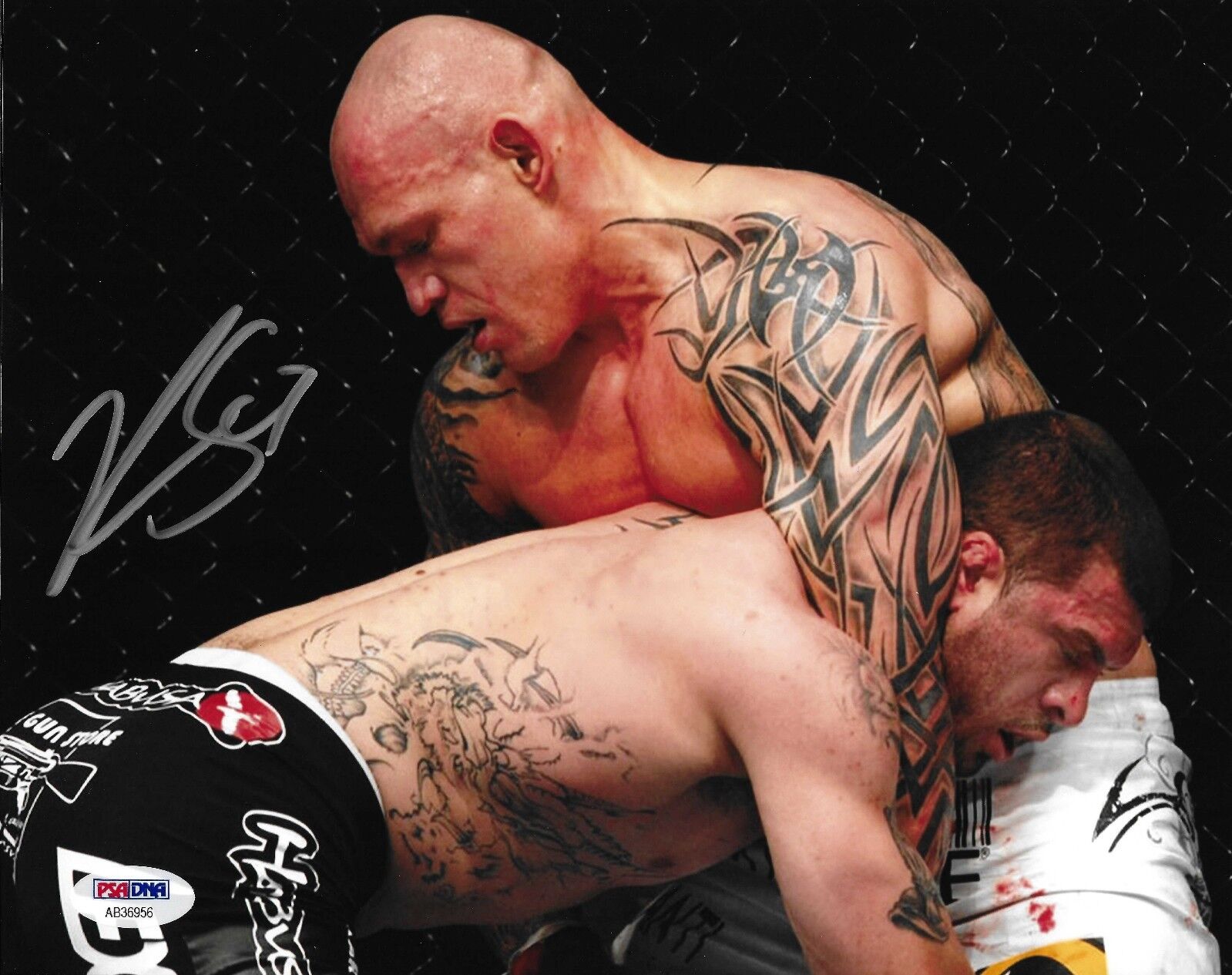 Krzysztof Soszynski Signed UFC 8x10 Photo Poster painting PSA/DNA COA Picture Autograph 110 97 3