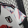 2024 Japan Dragon Ball Special Edition Football team shirt