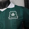 Joyfball 2025/2026 Player Version Plymouth Argyle Home Football Jersey（The player version jersey is a bit tight, please pay attention to the size selection）