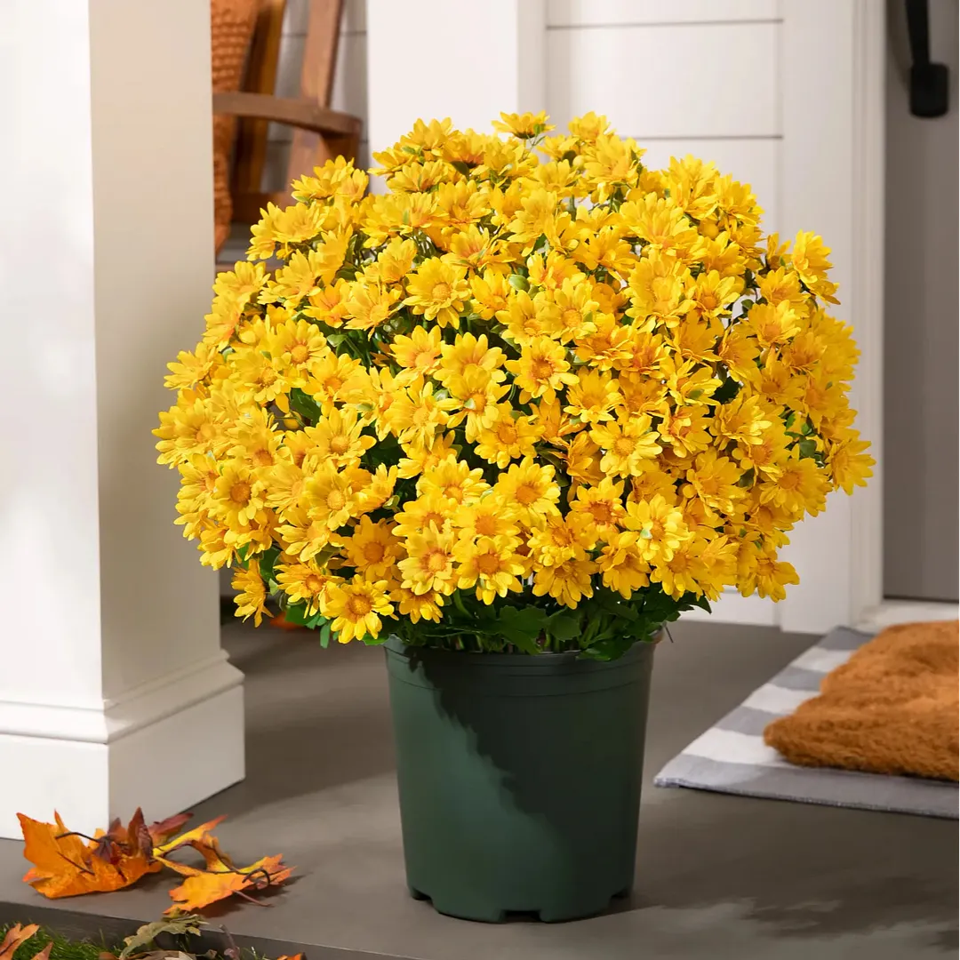 💥Last Day Each Only $2.59- Artificial Outdoor Sunset Mums Flowers - UV resistant. Waterproof. Windproof