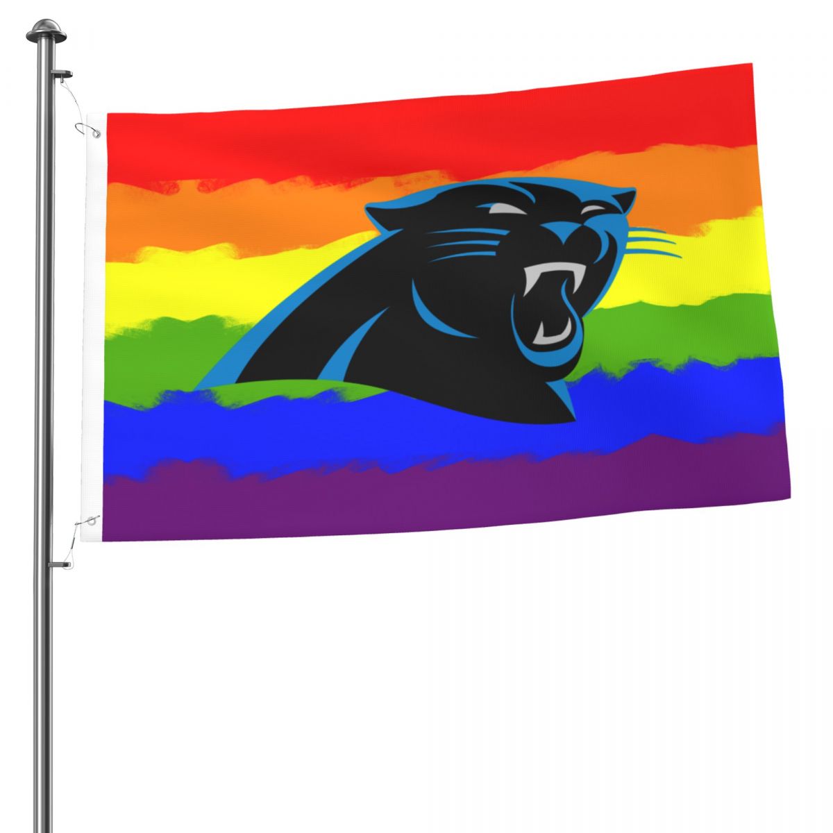 Carolina Panthers Traditional Pride 2x3FT Flag