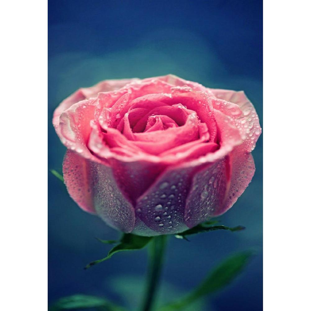 

30x40cm Round Drill Diamond Painting-Rose, 501 Original