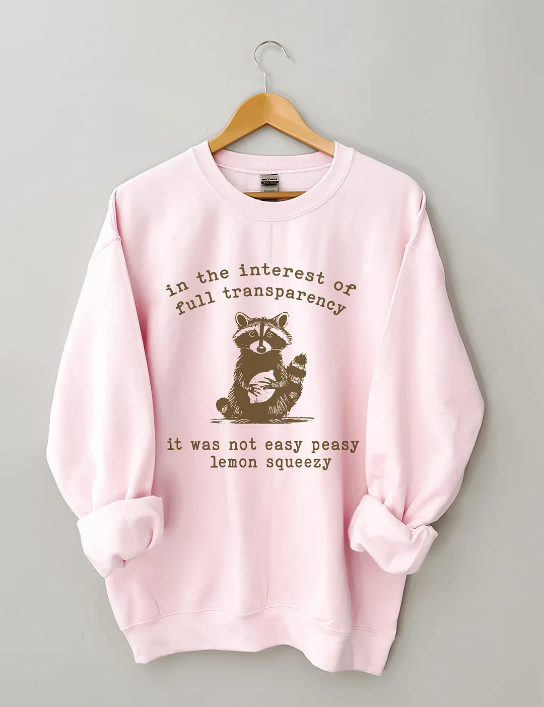 In The Insterest Of Full Transparency Sweatshirt