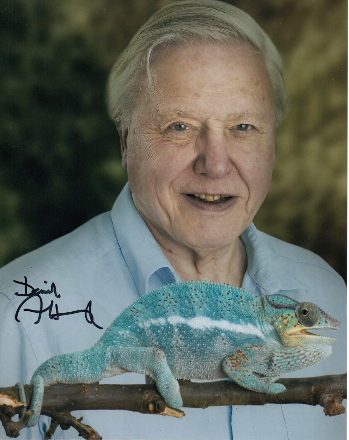 David Attenborough HAND Signed 10x8' Photo Poster paintinggraph Naturalist Broadcaster Autograph