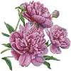 Peony-14CT Stamped Cross Stitch 31*30cm/12.2*11.81in tapestrymarket