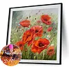 Coquelicot-Ronde Drill Diamant Peinture -40*40CM 