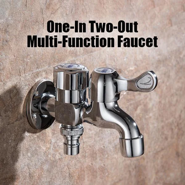 One-In Two-Out Multi-Function Faucet
