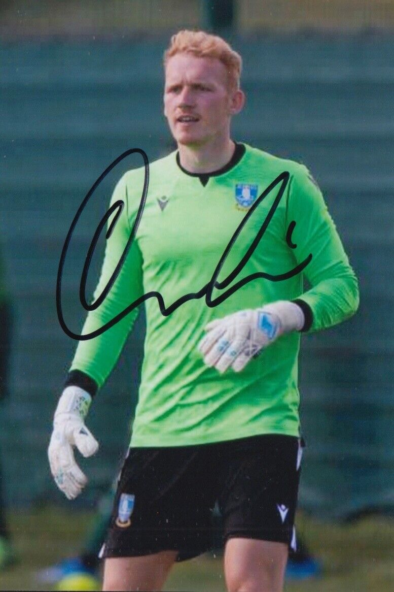 CAMERON DAWSON HAND SIGNED 6X4 Photo Poster painting SHEFFIELD WEDNESDAY FOOTBALL AUTOGRAPH