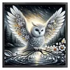 Branches And Owls-11CT Stamped Cross Stitch 40*40cm/15.75*15.75in tapestrymarket