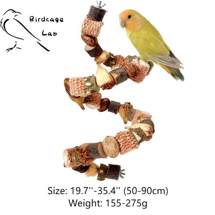 Birdcagelab | Parrot Natural Jackfruit Nuts Wooden Chew String