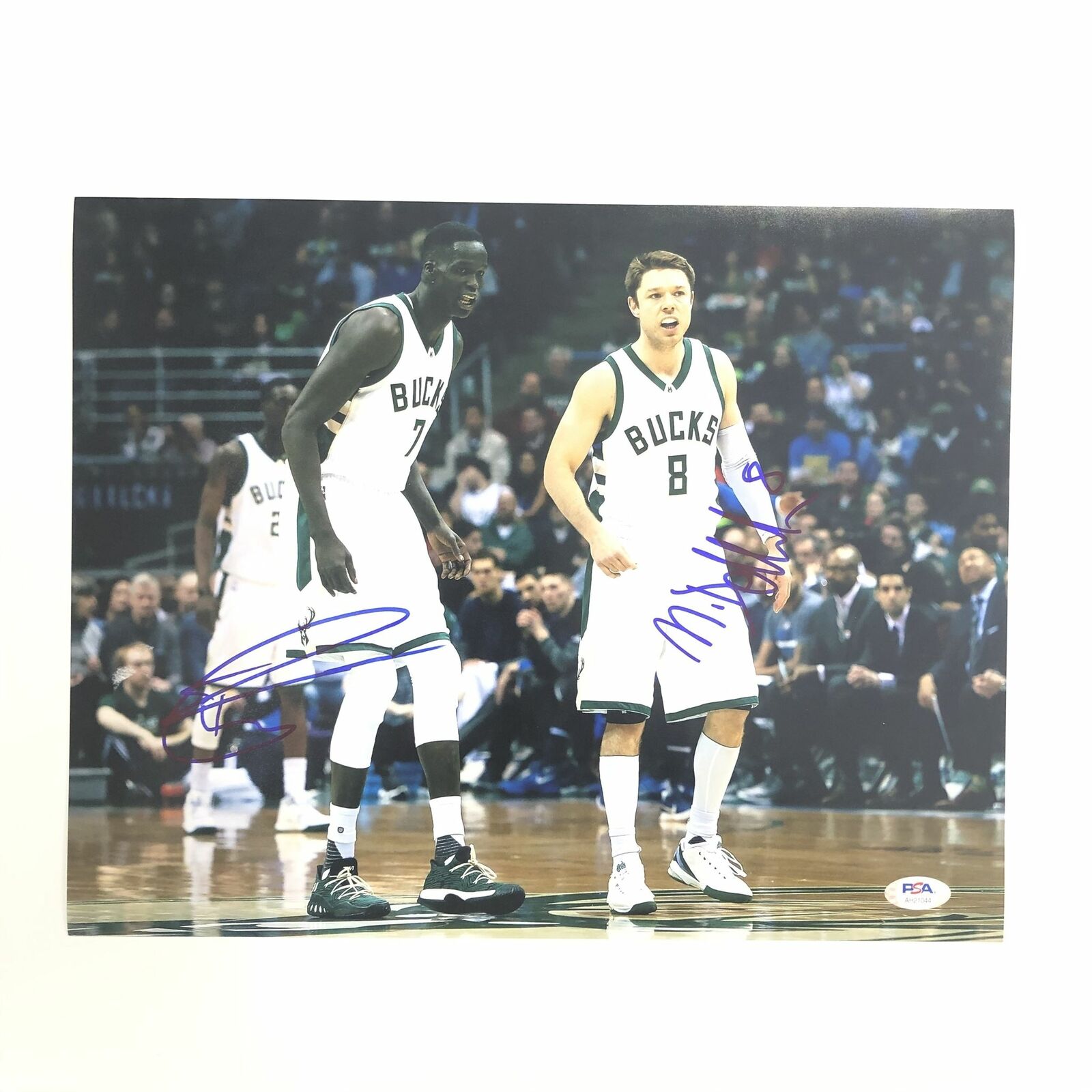 Matthew Dellavedova Thon Maker 11x14 Photo Poster painting PSA/DNA Bucks Autographed