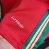 2024 Wales HomeFootball Shirt 1:1 Thai Quality