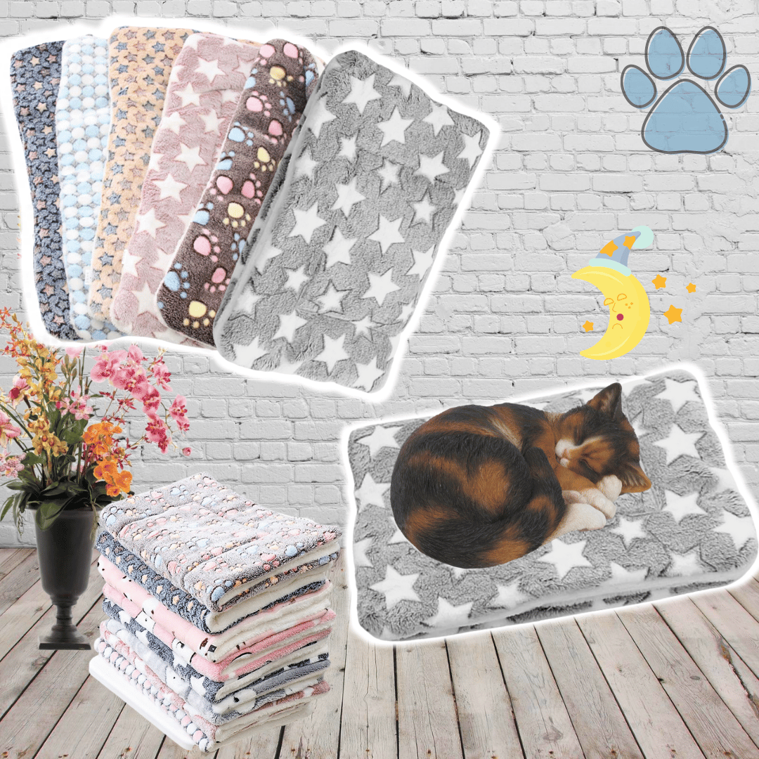 🔥Christmas Sale 49% OFF - Pet Blanket