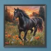 Cheval-Plein diamant rond peinture-30 * 30cm