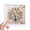 5D DIY Partial Special Shaped Drill Diamond Painting Kit Peacock Decor With Frame Kit 18x18cm