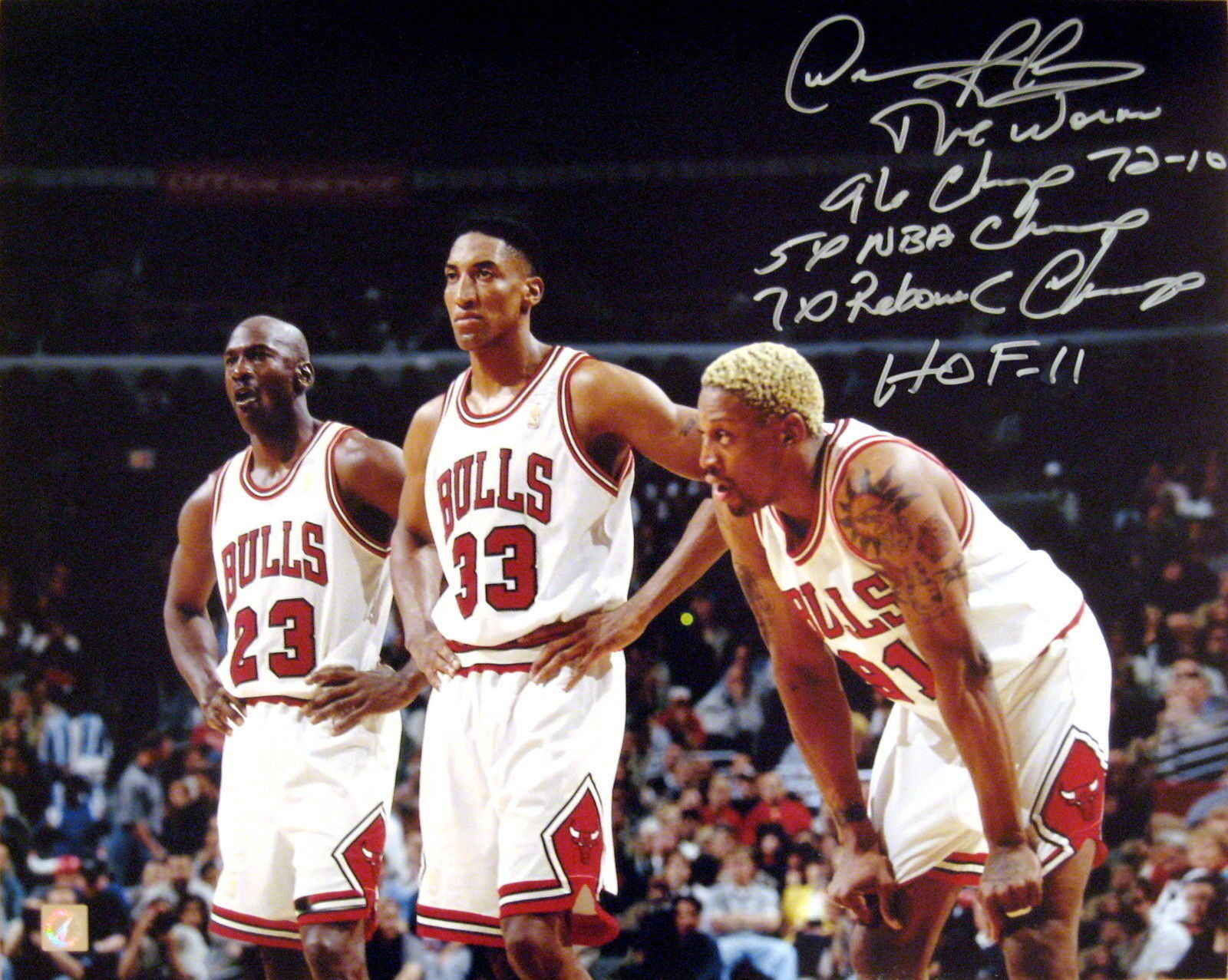 Dennis Rodman Autographed 16x20 Stat Photo Poster painting w/ Michael Jordan & Pippen ASI Proof