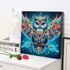 (Pre-Framed)Owl-Special Shape Diamond Painting Kit(29x29cm)