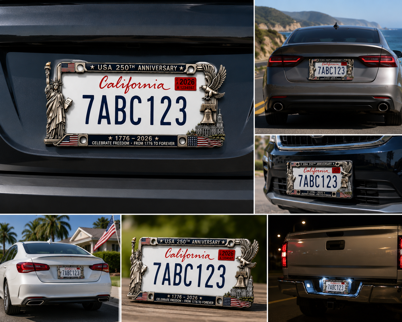 License plate frame details