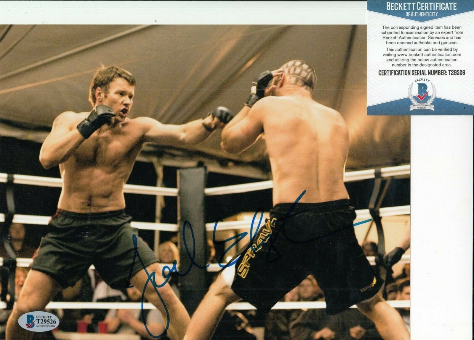 JOEL EDGERTON signed (WARRIOR) 8X10 Photo Poster painting *Brendan Conlon* BECKETT BAS T29526