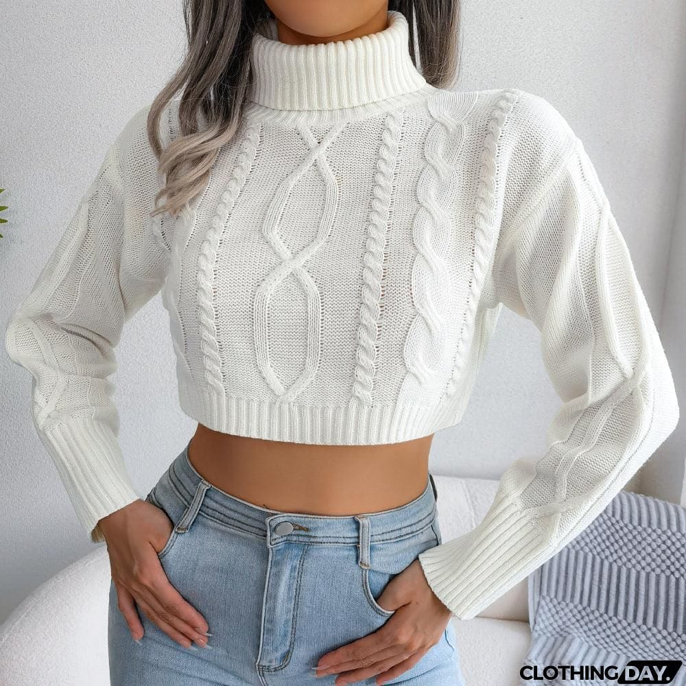 Mixed Knit Turtleneck Cropped Sweater