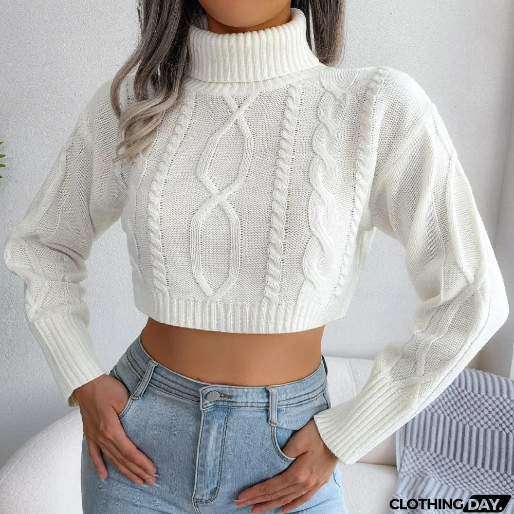 Mixed Knit Turtleneck Cropped Sweater