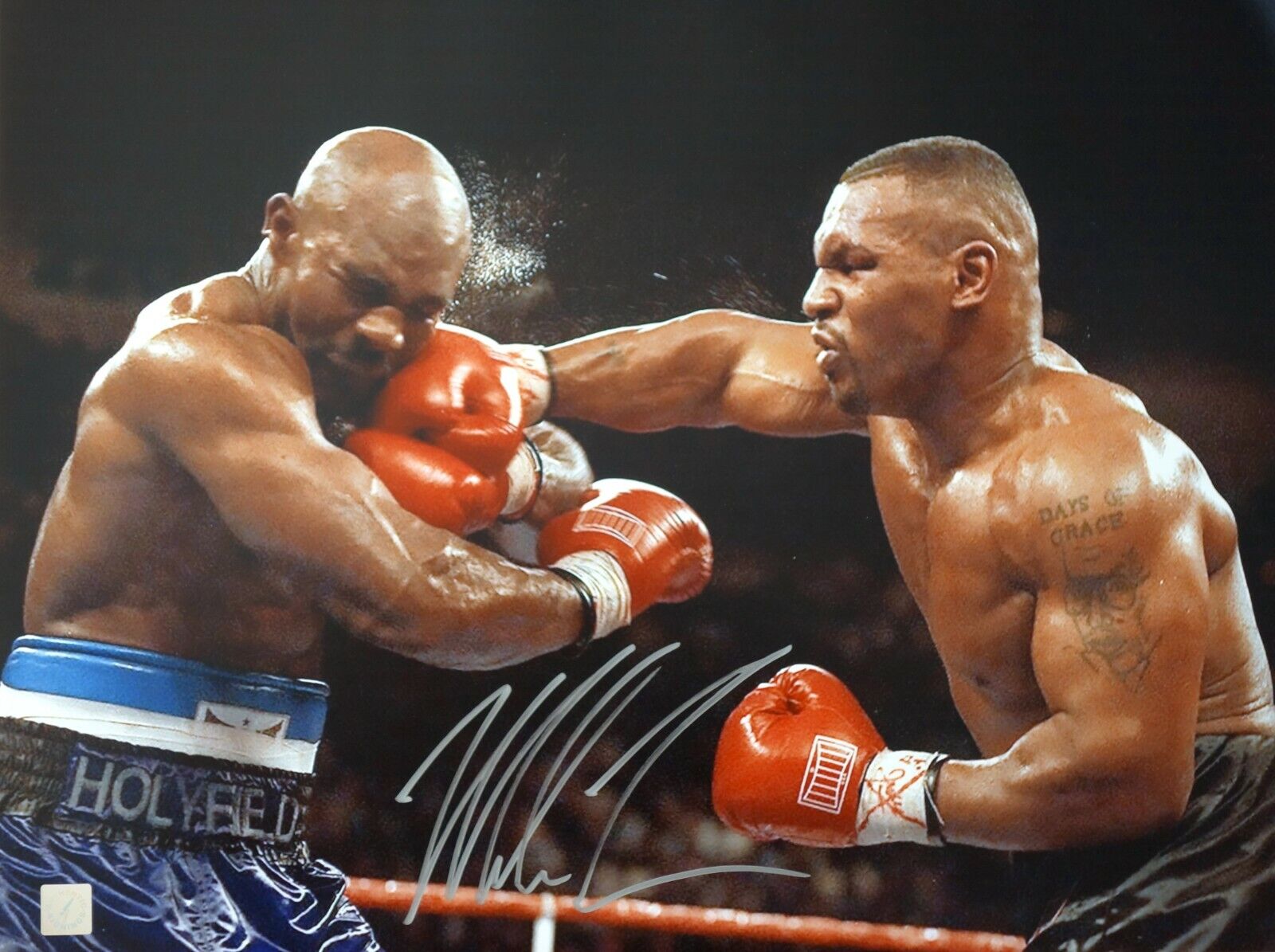 Mike Tyson Autographed 16x20 Punching Evander Holyfield ASI Proof