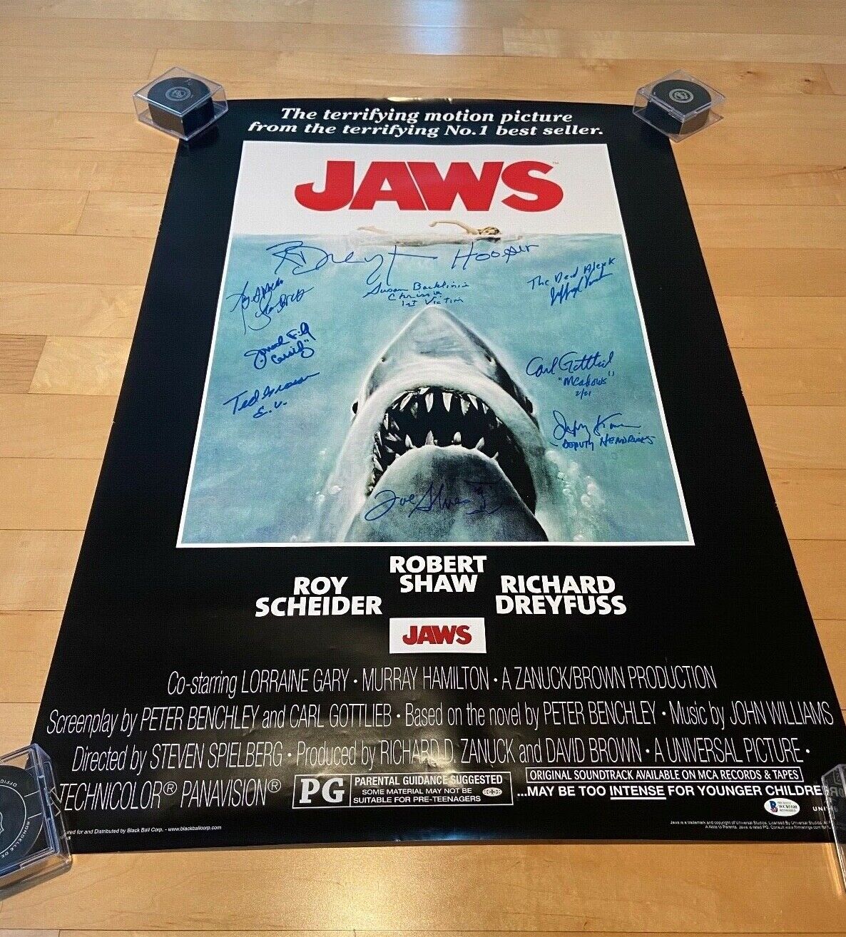 * JAWS * signed 24x36 movie poster * DREYFUSS, KRAMER, BACKLINIE +6 MORE * COA 4