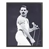 Singer - 11CT Stamped Cross Stitch - 40*50cm