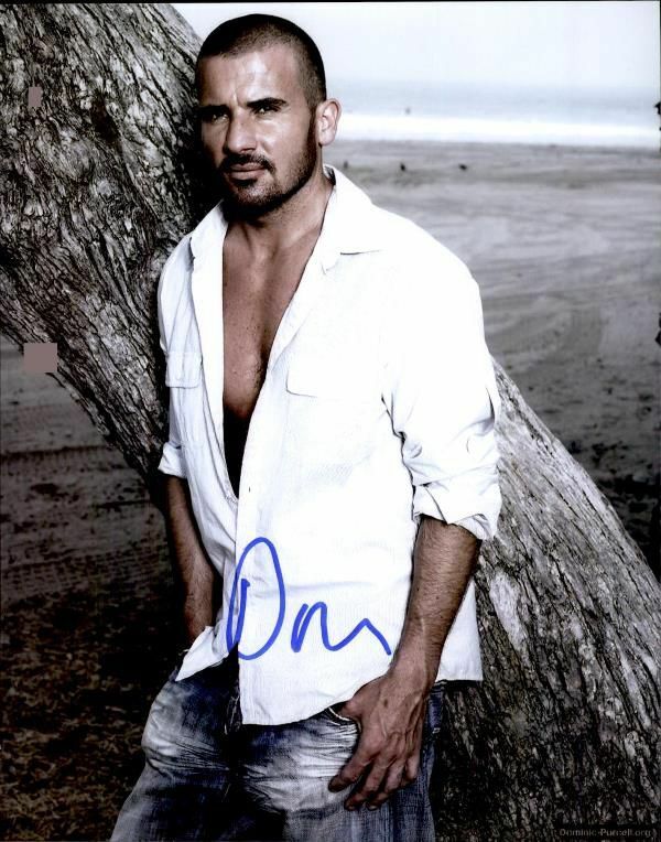 Dominic Purcell authentic signed celebrity 8x10 Photo Poster painting W/Cert Autographed 2616e