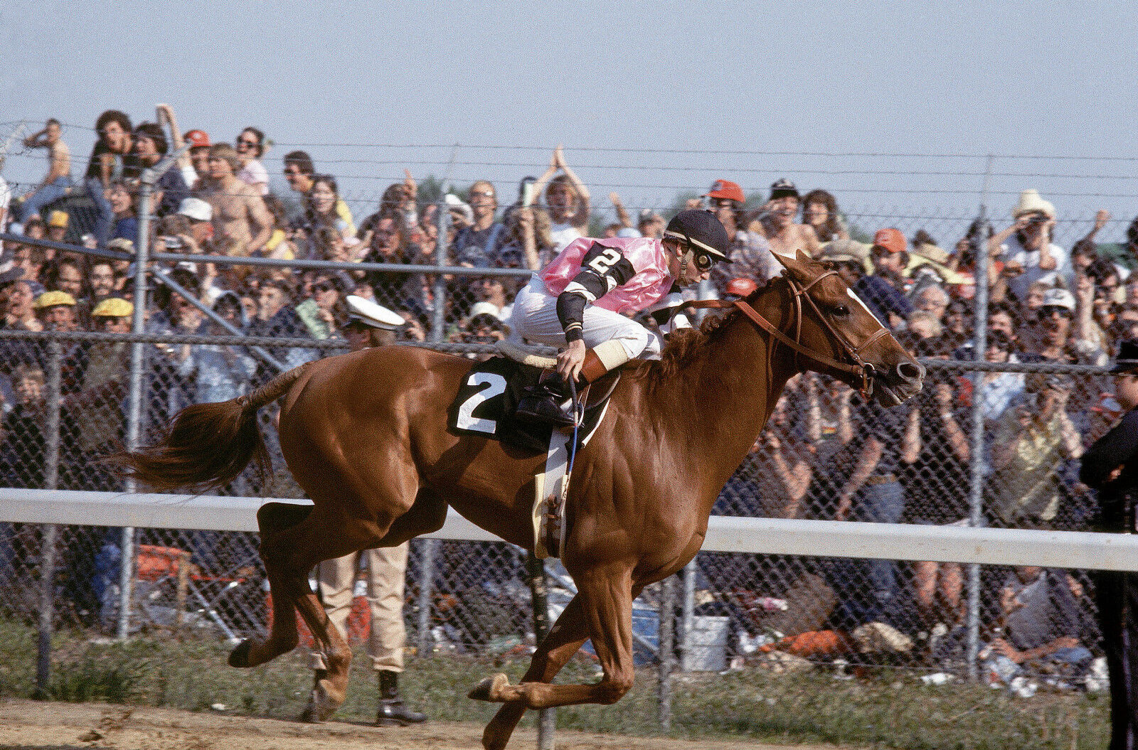 1978 Steve Cauthen AFFIRMED Kentucky Derby Triple Crown Horse Racing 8x10 Photo Poster painting