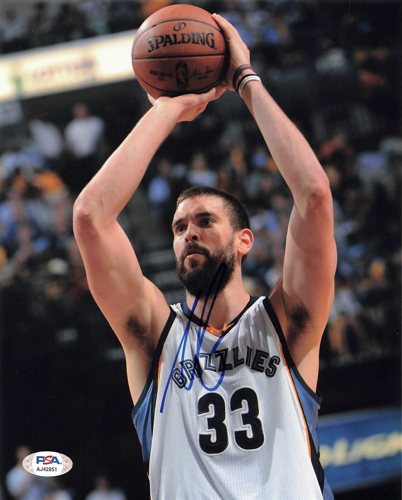 Marc Gasol signed 8x10 Photo Poster painting PSA/DNA Memphis Grizzlies Autographed