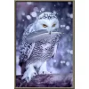 Hedwig | Full Round Diamond Painting Kits