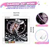 Special Shape Rhinestone Diamond Painting Kit(Silver Hat Butterfly Girl)