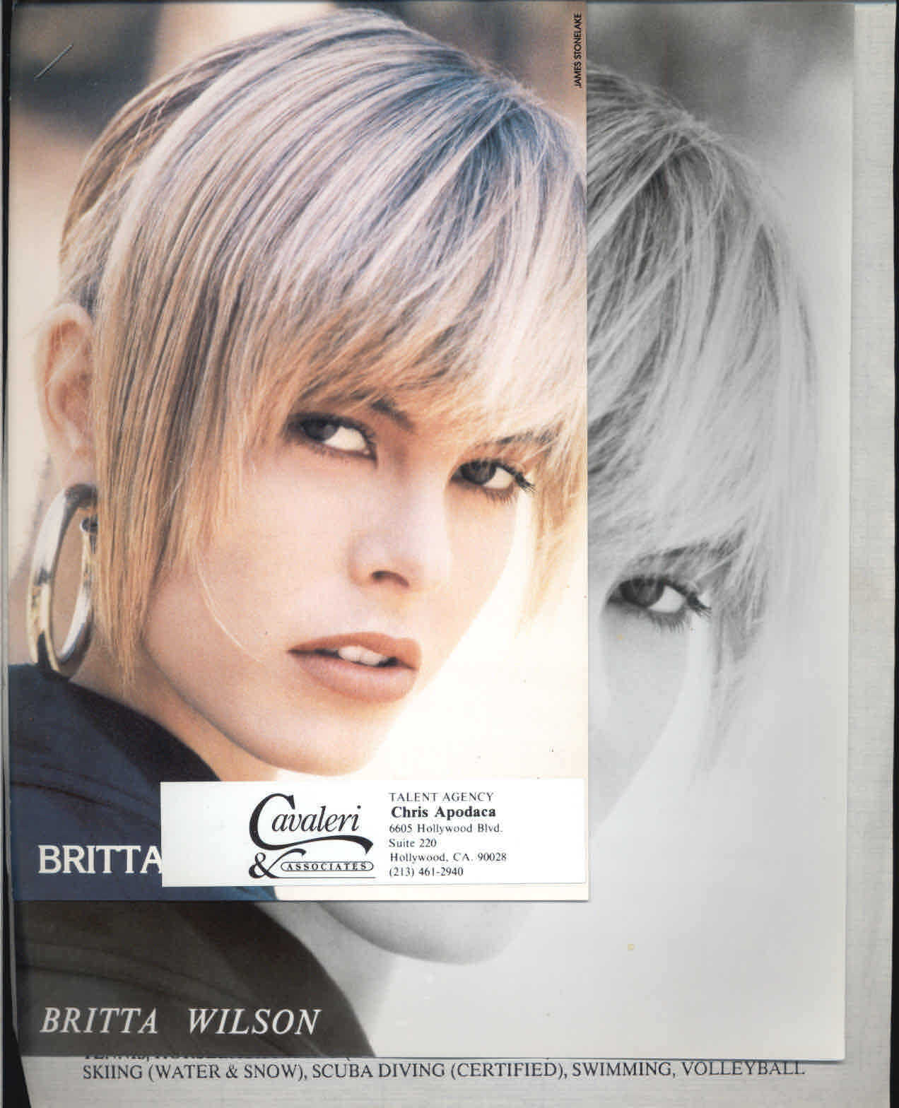 Britta Wilson - 8x10 Headshot Photo Poster painting w/ Resume - The Big Picture