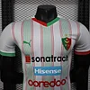Joyfball 2025/2026 Player Version Palestine White Football Jersey 1:1 Thai Quality（The player version jersey is a bit tight, please pay attention to the size selection）