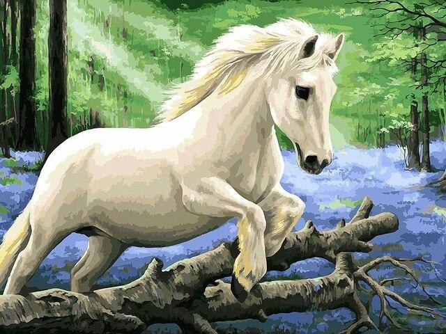 

White Pony Horse In The Bluebell Wood – Paint By Numbers - 40*50CM, 501 Original