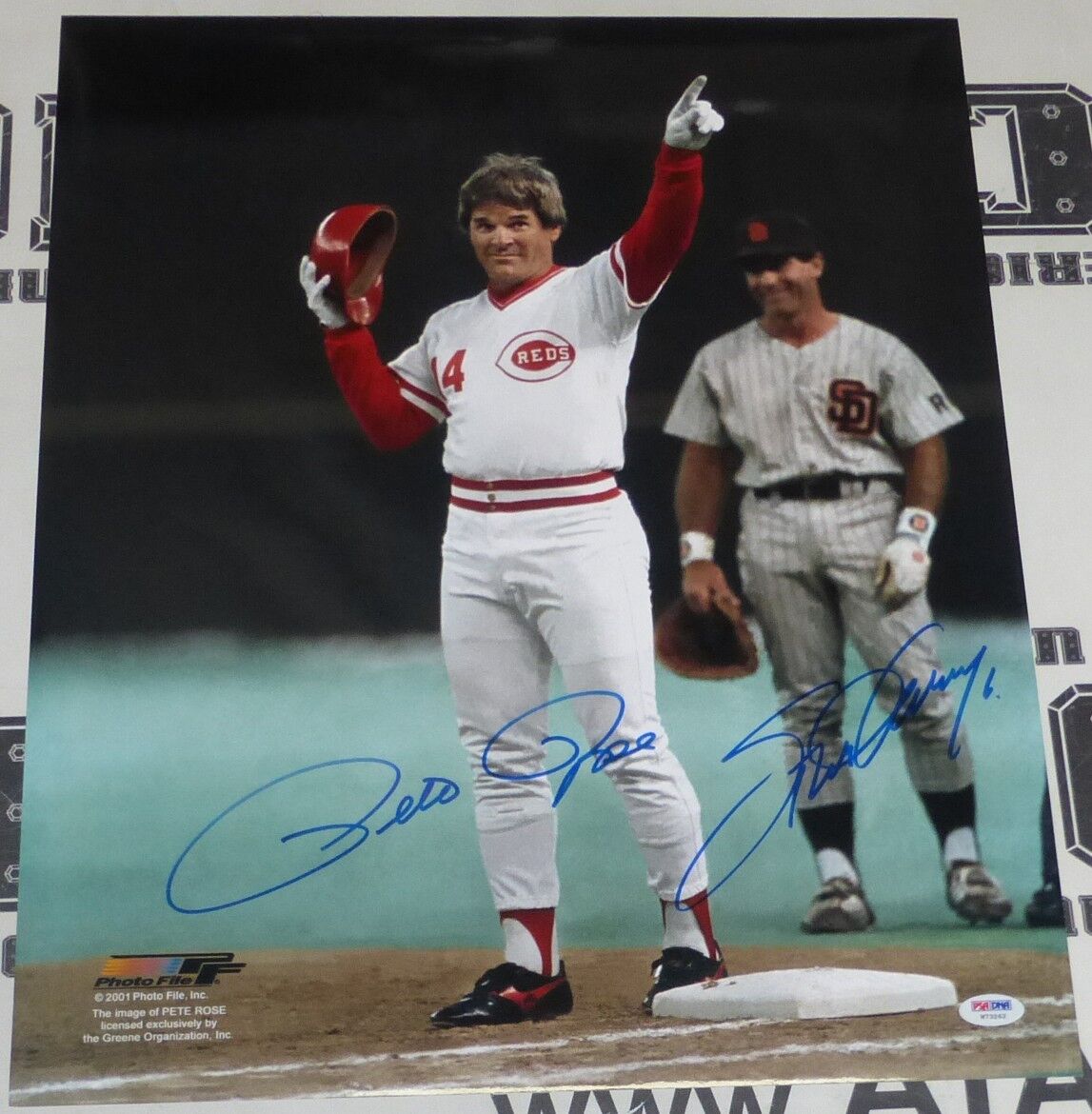 Pete Rose & Steve Garvey Signed 16x20 Photo Poster painting PSA/DNA COA #4192 Picture Autograph